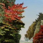 Foliage Series - Arboretum 1